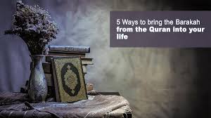 Daily Quran Reading Habits That Bring Barakah | Quran Educare